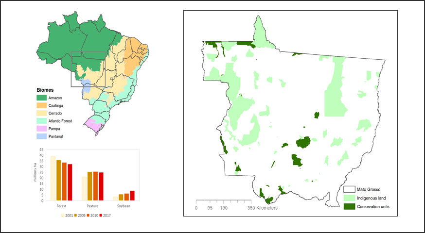 Impacts of Public and Private Sector Policies on Soybean and Pasture Expansion in Mato Grosso—Brazil from 2001 to 2017